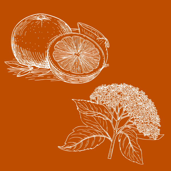 Grapefruit & Elderflower